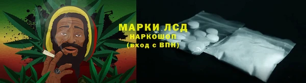 эйфоретик Алзамай
