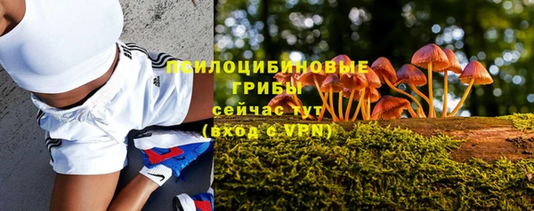 индика Алексеевка