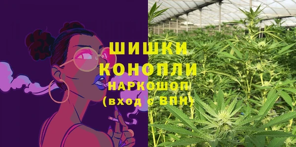 индика Алексеевка