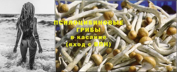 эйфоретик Алзамай