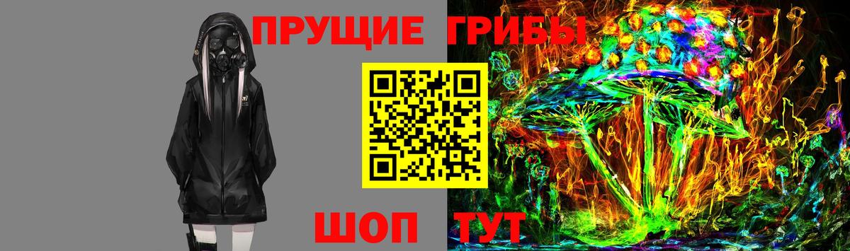 Псилоцибиновые грибы Psilocybe Сухой Лог
