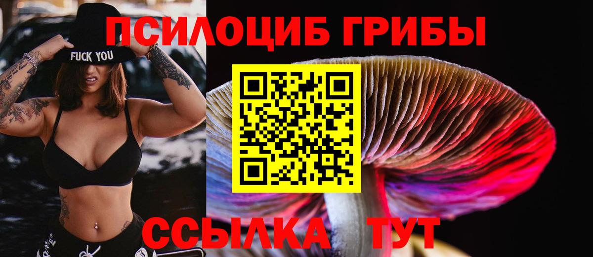 хочу   Псилоцибиновые грибы ЛСД  Вход с VPN  Сухой Лог 